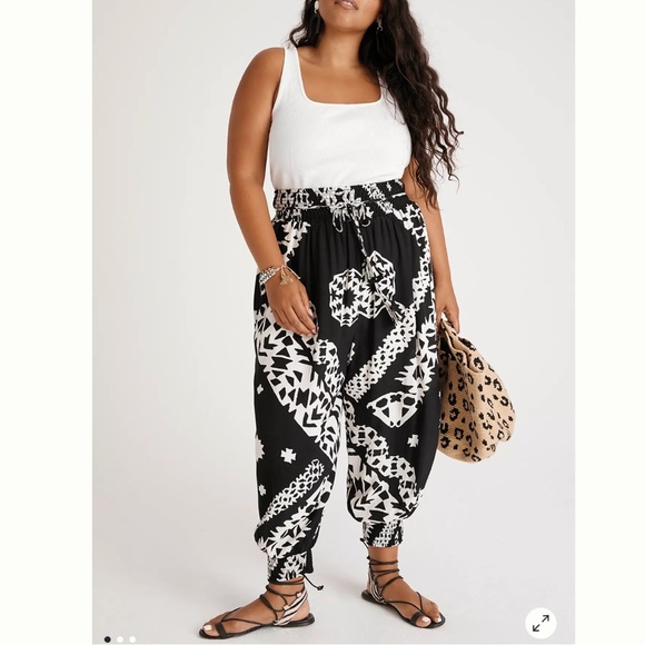 Anthropologie Aniya Balloon Joggers Size Small - Picture 1 of 12